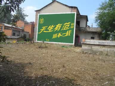 墙体刷墙墙体广告
