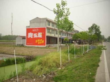 五大标准